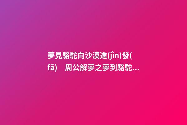 夢見駱駝向沙漠進(jìn)發(fā)　周公解夢之夢到駱駝向沙漠進(jìn)發(fā)